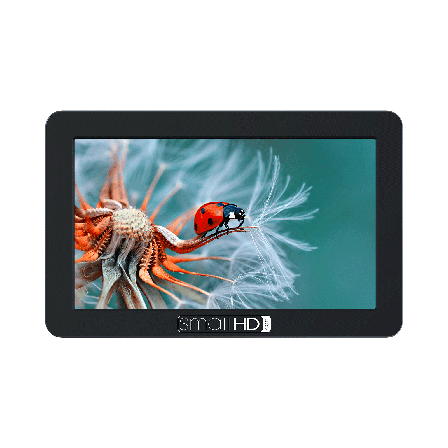 SmallHD FOCUS Kit Monitor 5" Camera-Top mirrorless