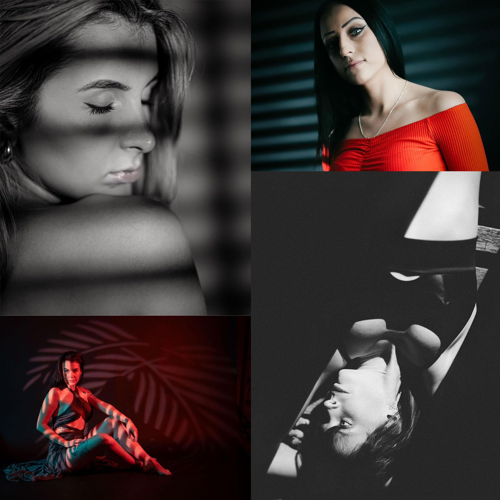 DigitalFoto Light FS-100SLENS Pro snoot Bowens con 25 gobo e filtri