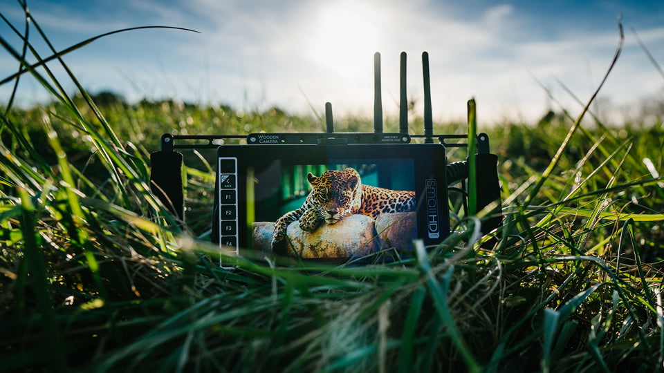 SmallHD 703 Ultrabright kit regista monitor 7" V-Mount